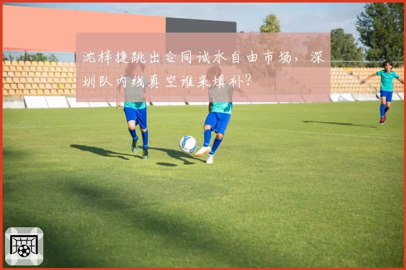 沈梓捷跳出合同试水自由市场，深圳队内线真空谁来填补？